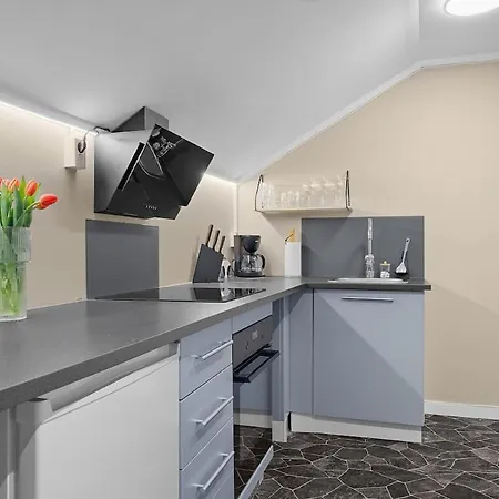 Apartment One-bedroom In The *